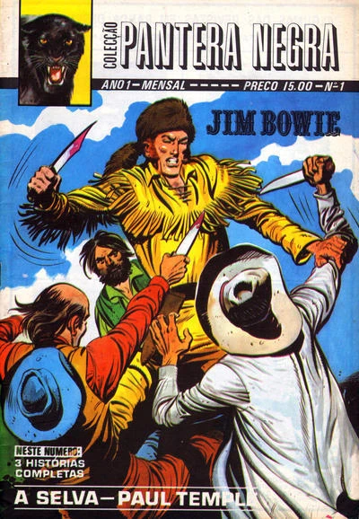 Cover of Jim Bowie