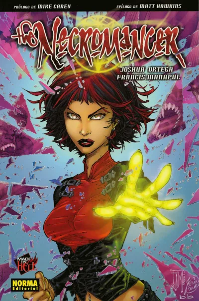 Cover of The necromancer