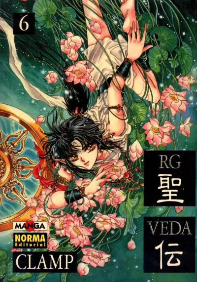 Cover of RG Veda 6