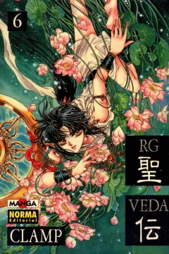 RG Veda 6