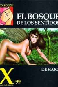 El Bosque De Los Sentidos