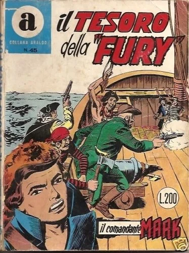 Cover of Il Tesoro della "Fury"