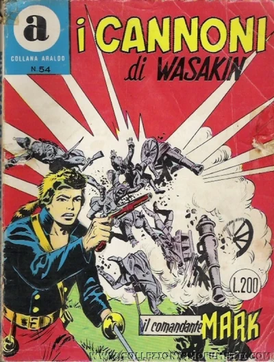 Cover of I Canoni di Wasakin
