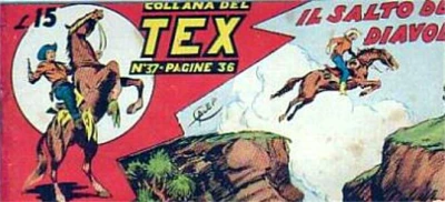 Cover of Il Salto del Diavolo