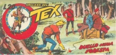 Cover of Duello nella Foresta