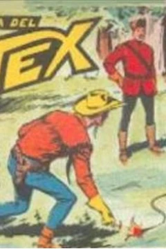 Duello nella Foresta