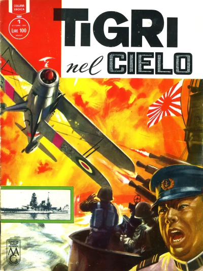 Cover of Tigri nel cielo