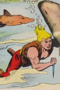 La Baia degli Squali