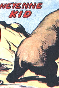Cheyenne Kid
