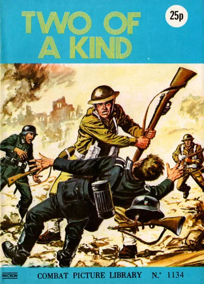 Cover of Issue #1134