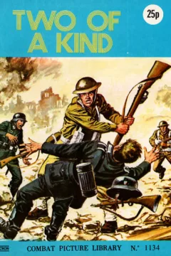 Issue #1134