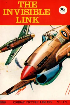 Issue #1171