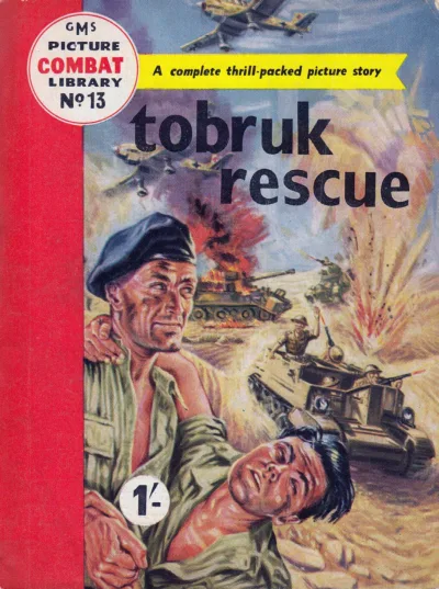Cover of Issue #13