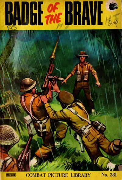 Cover of Issue #381