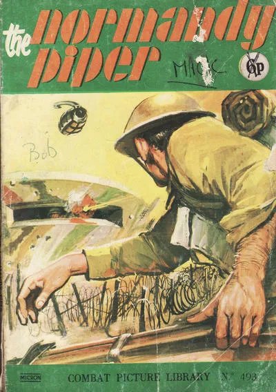 Cover of Issue #493