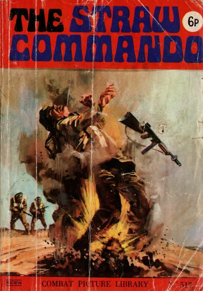 Cover of Issue #517