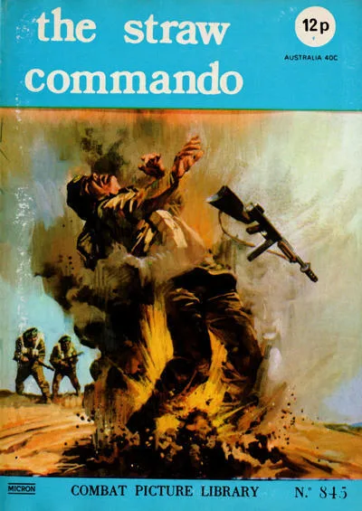 Cover of Issue #845