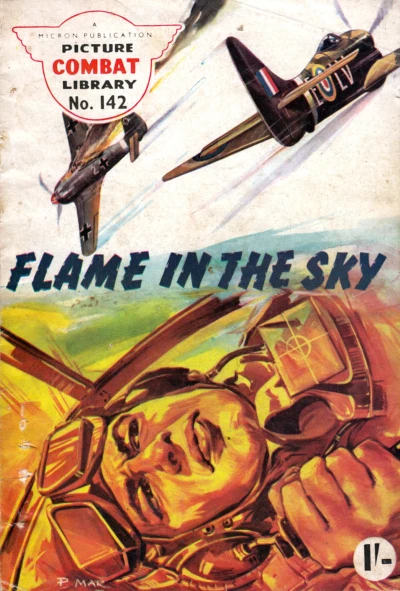 Cover of Flame In the Sky