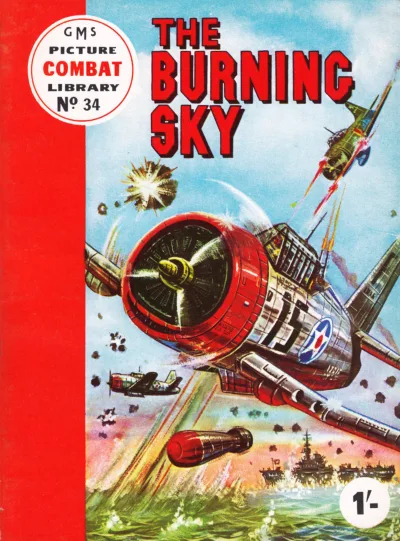 Cover of The Burning Sky