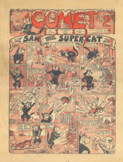 Cover of Sam the Super Cat