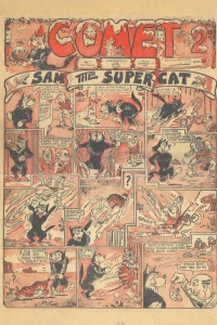 Sam the Super Cat