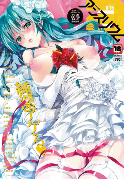 Cover of Issue #15