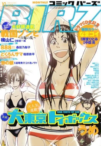Cover of No. 10, 2008