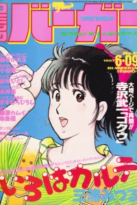 No. 11, 1987