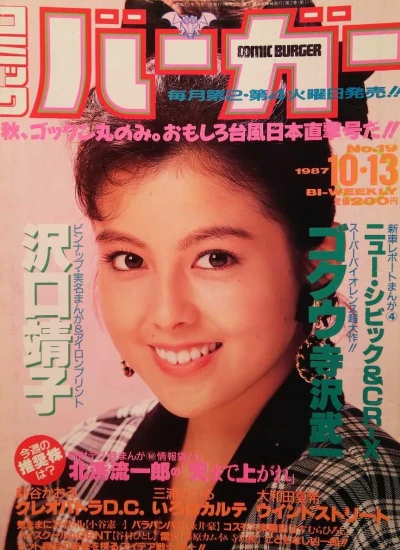 Cover of No. 19, 1987