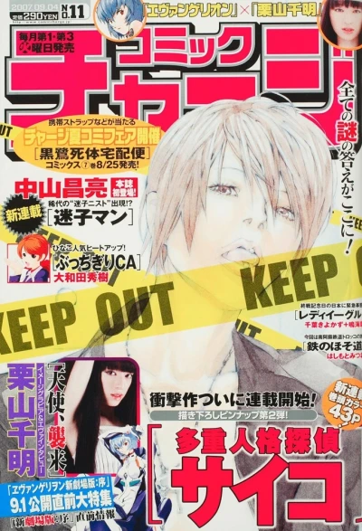 Cover of No. 11, 2007