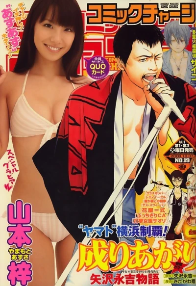 Cover of No. 19, 2008