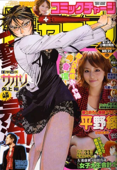 Cover of No. 22, 2008