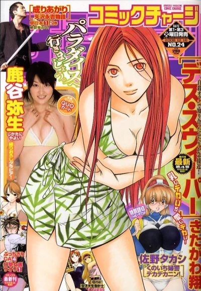 Cover of No. 24, 2008