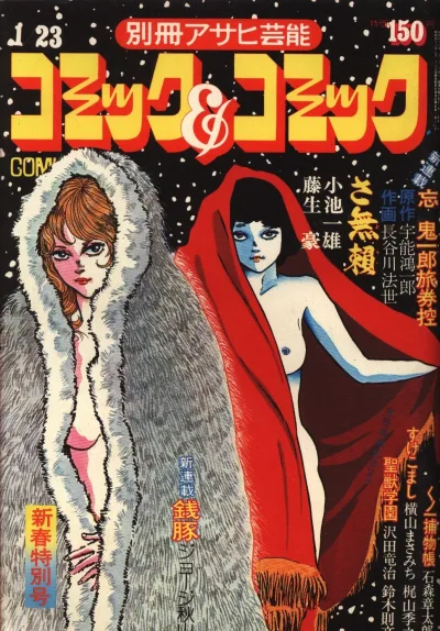 Cover of Volume #17