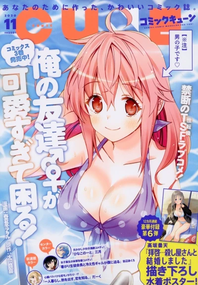 Cover of No. 11, 2020