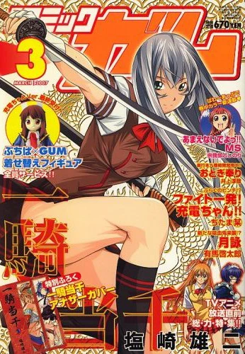Cover of No. 3, 2007