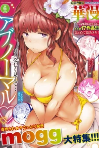 Issue #201806