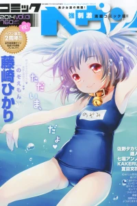 Vol. 13