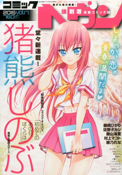 Cover of Vol. 17