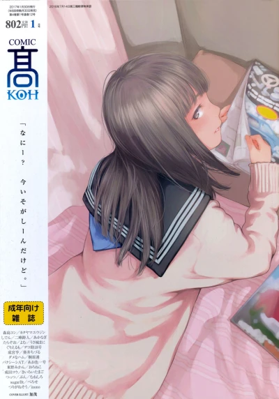 Cover of Volume #12
