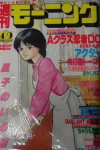 No. 17, 1987