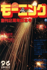 No. 17, 1984
