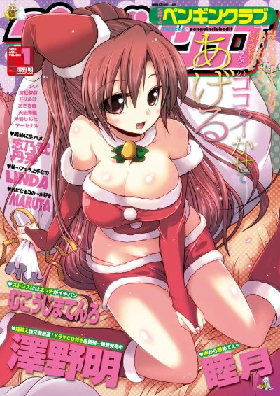 Cover of Issue #305