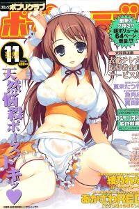 Issue #200811