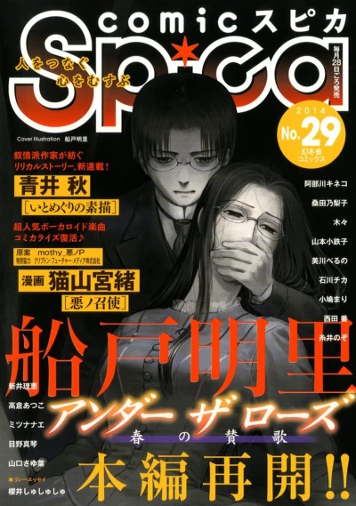 Cover of Volume #29