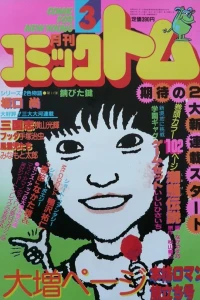 No. 3, 1982