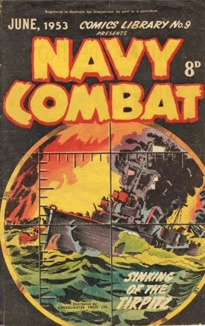 Cover of Navy Combat