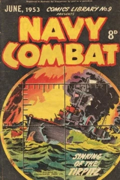 Navy Combat