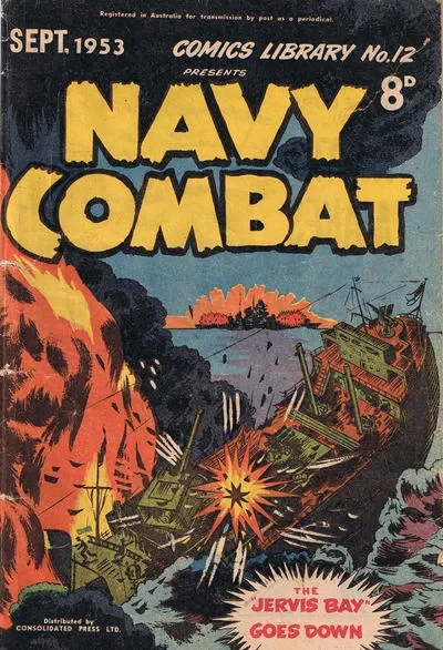 Cover of Navy Combat