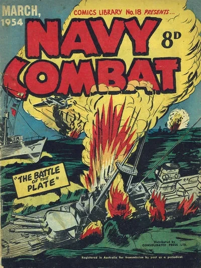 Cover of Navy Combat